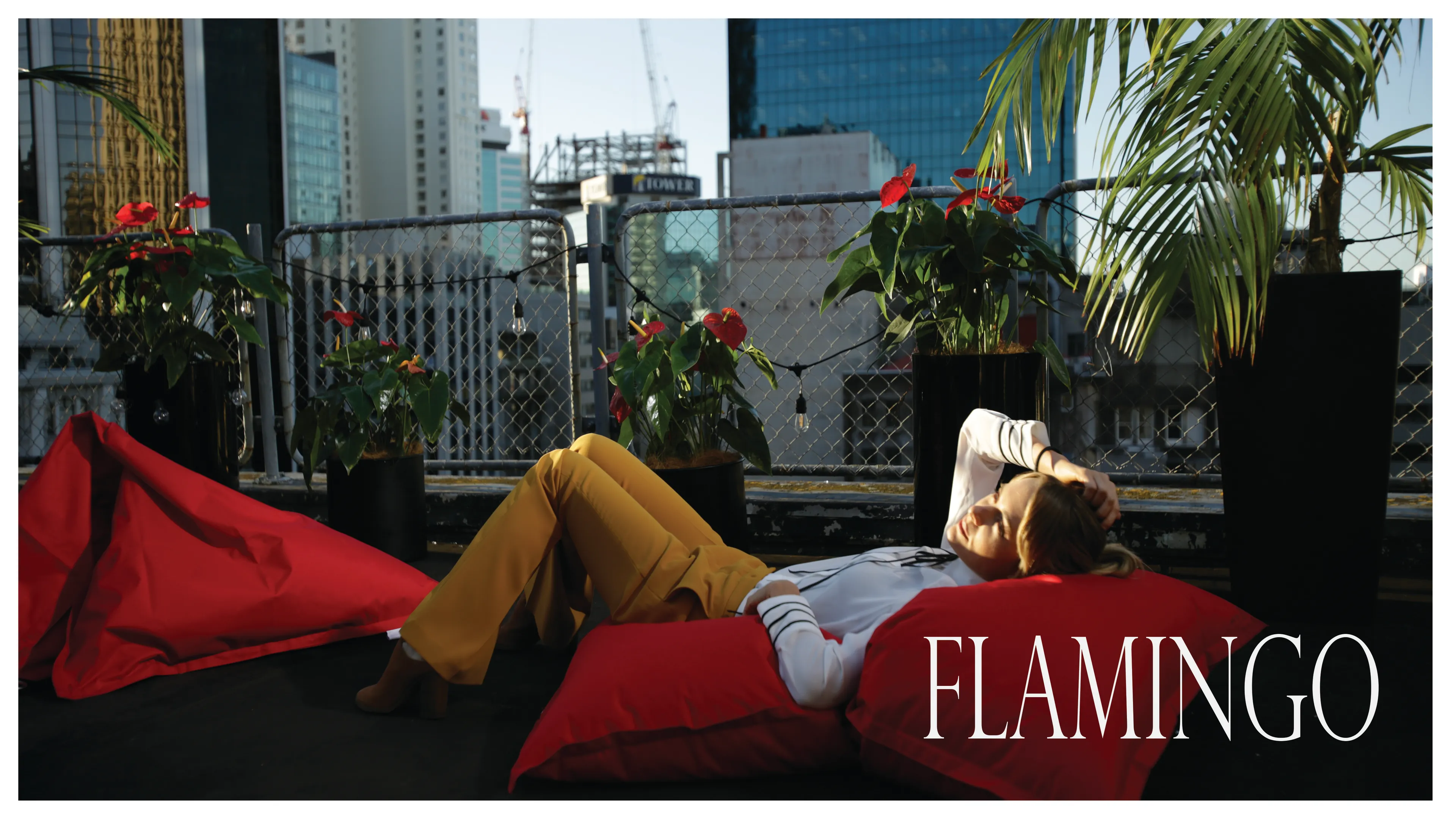 Flamingo poster